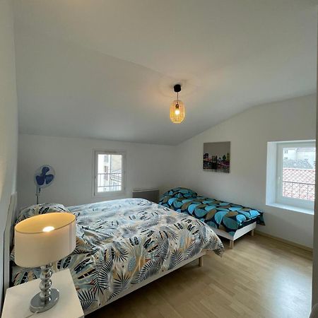 Superbe appartement avec 2 Chambres - 9 Personnes - Parking Privé Tournon-sur-Rhone Esterno foto