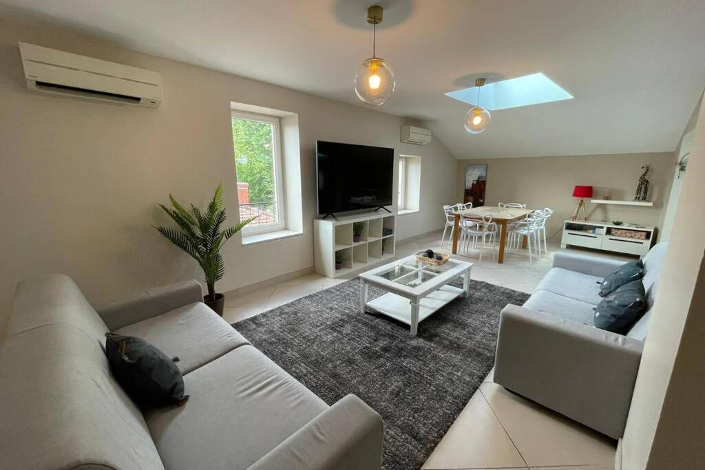 Superbe appartement avec 2 Chambres - 9 Personnes - Parking Privé Tournon-sur-Rhone Esterno foto
