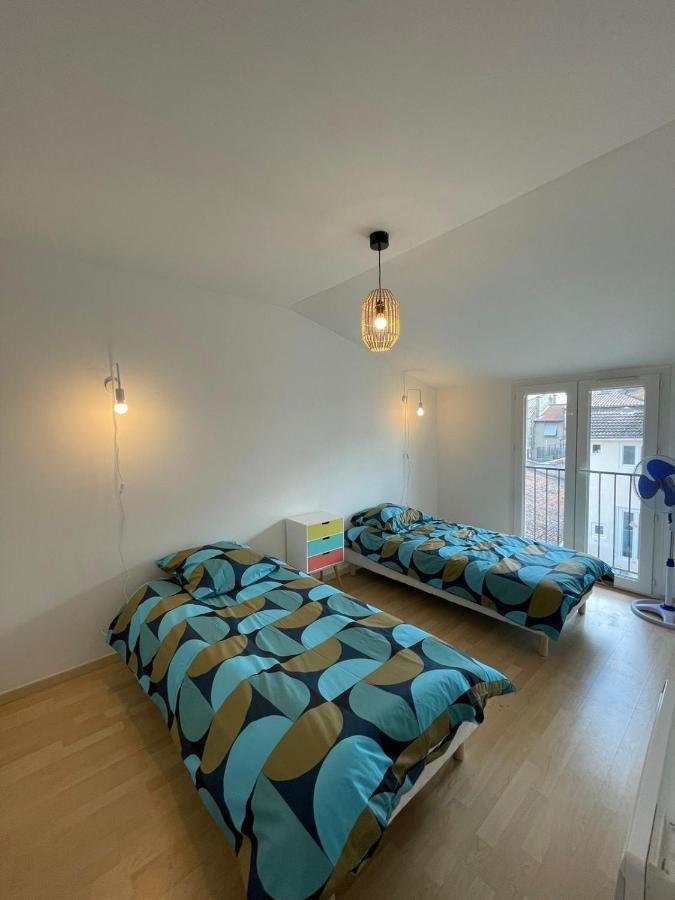 Superbe appartement avec 2 Chambres - 9 Personnes - Parking Privé Tournon-sur-Rhone Esterno foto